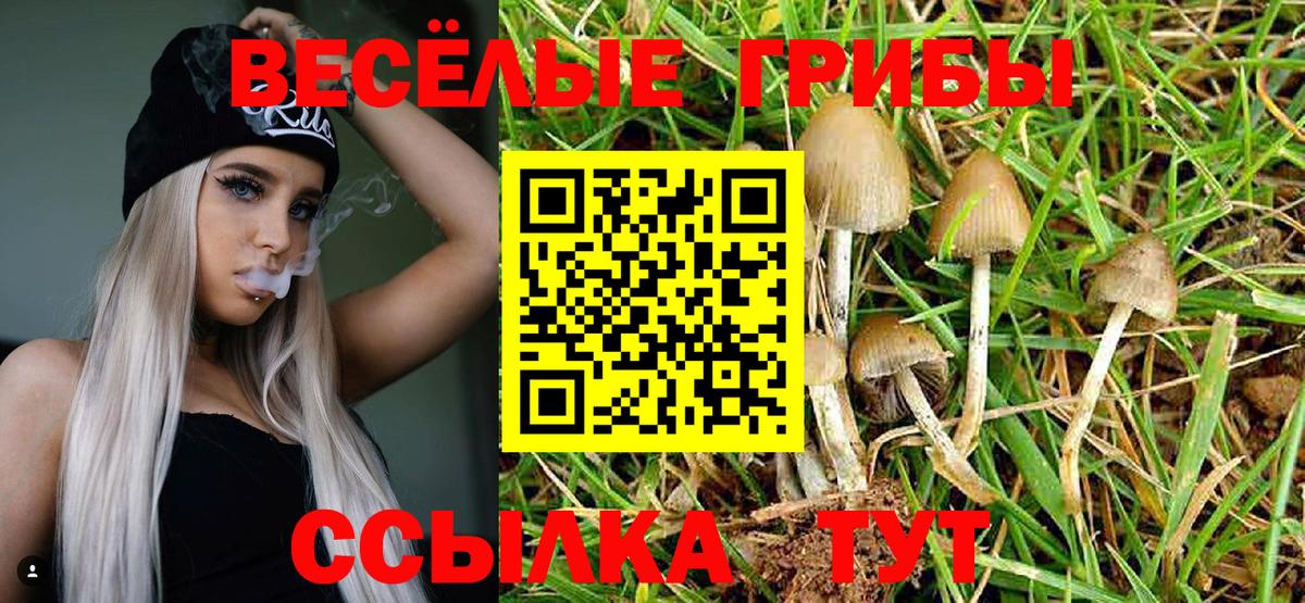Галлюциногенные грибы прущие грибы Лосино-Петровский